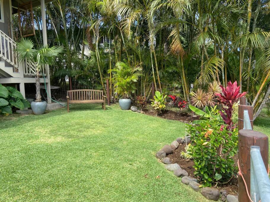 Private Ohana On The Lush Hamakua Coast With Ac Honokaa Exterior foto