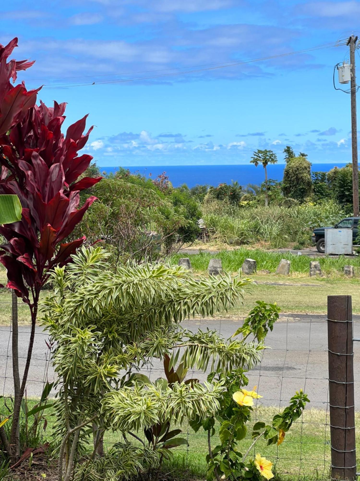 Private Ohana On The Lush Hamakua Coast With Ac Honokaa Exterior foto