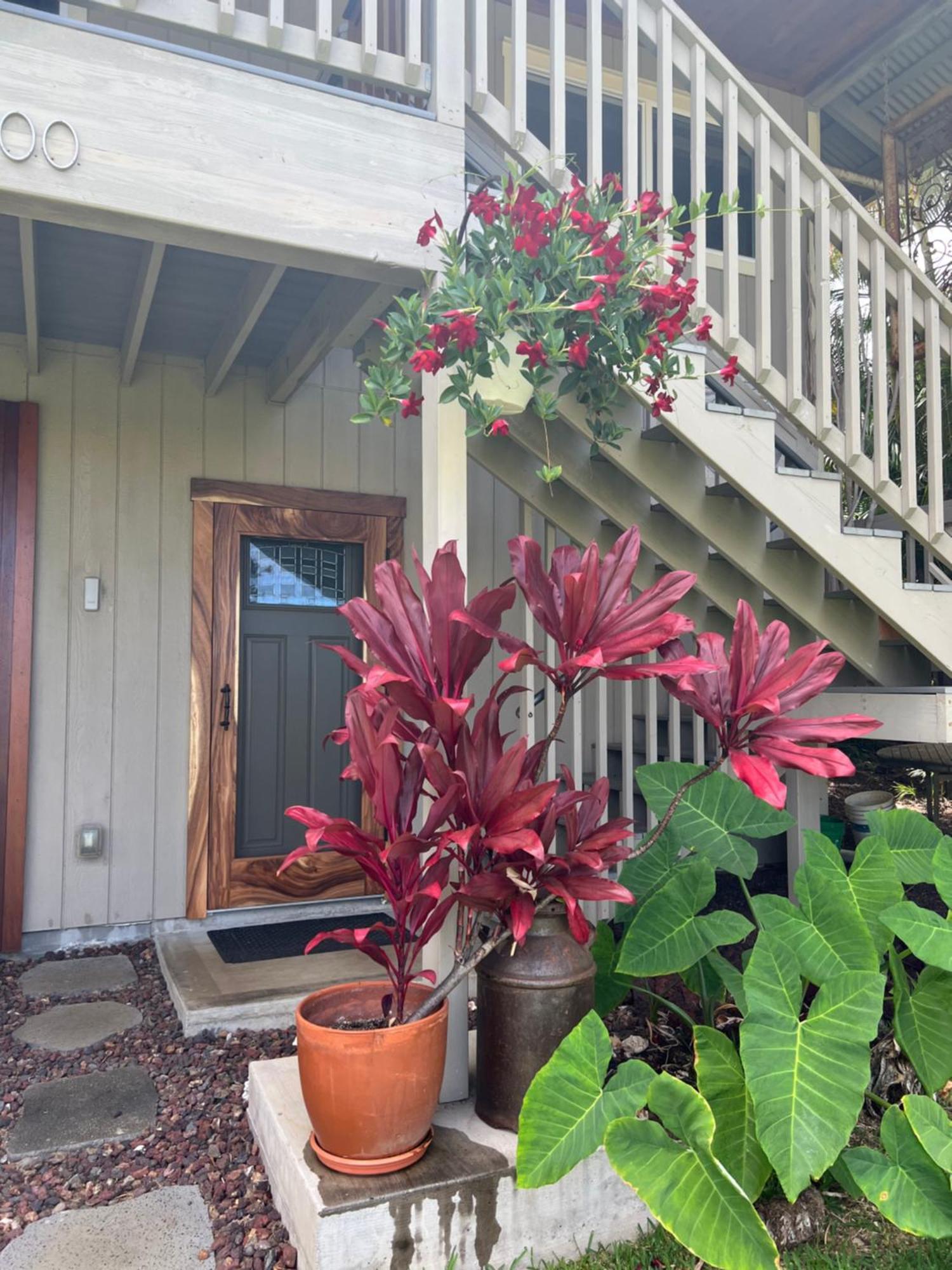 Private Ohana On The Lush Hamakua Coast With Ac Honokaa Exterior foto